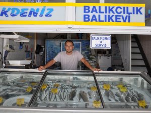 Gazipaşalı balıkçılar, 1 ton köpek balığı yakaladı