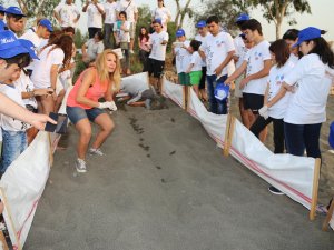 MESKİ çalışanları, yavru carettalar için kıyı temizliği yaptı