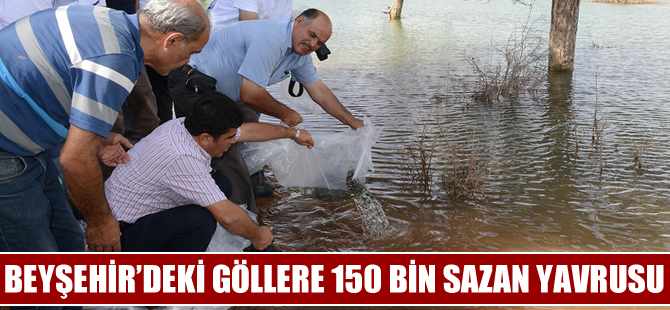 Beyşehir'deki göllere 150 bin adet sazan yavrusu bırakıldı
