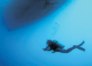 Sınırları tek ülkeye ait tek deniz Marmara'yı korumalıyız