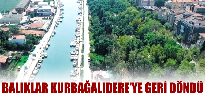 Kurbağalıdere ıslah çalışmaları sonuç vermeye başladı