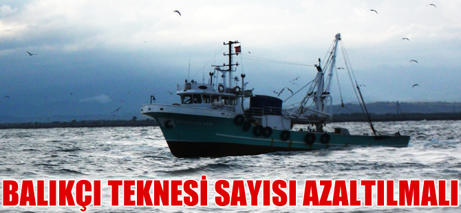 Devletin balıkçı teknesi alımları devam etmeli