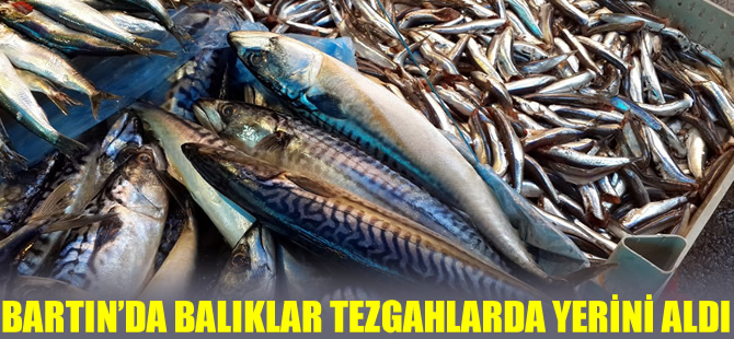 Bartın'da balıklar tezgahtaki yerini aldı