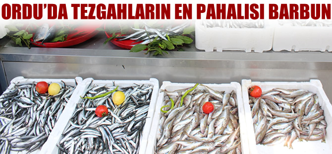 Ordu'da tezgahların en pahalı balığı barbun