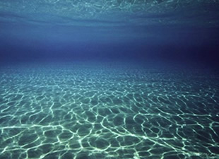 Akdeniz'de balık stoklarının yüzde 95'i avlanmış durumda