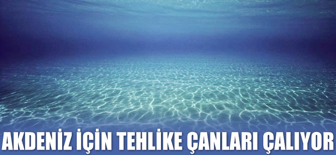 Akdeniz'de balık stoklarının yüzde 95'i avlanmış durumda