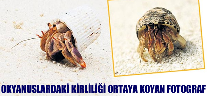 Okyanusların kirliliği ortaya koyan forograf