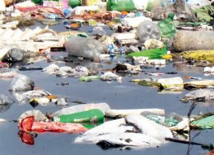 Ege'de çevre felaketi