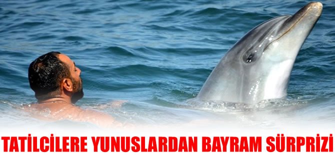 Tatilcilere yunuslardan bayram sürprizi
