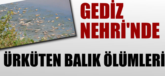 Gediz'de ürküten balık ölümleri