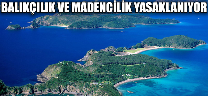 Yeni Zelanda'da deniz canlılarının soyları tükenmesin diye barınak kurulacak