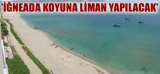 'İğneada Koyu'nda çimento limanı kurulacak' iddiası