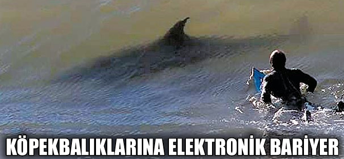 Köpekbalıklarına elektronik bariyer