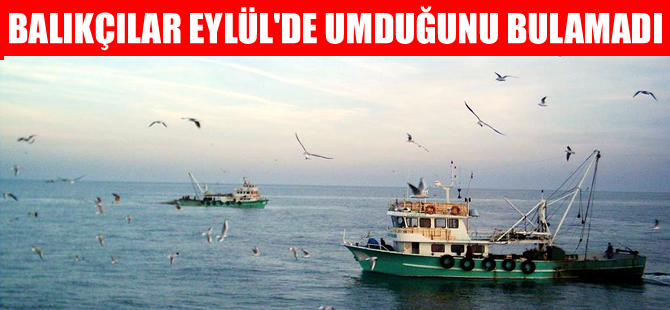 Karadenizli balıkçılar Eylül ayında hayal kırıklığı yaşadı