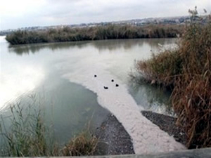 Mogan Gölü'nü kirlilikten kurtarma projesi seneye tamamlanacak