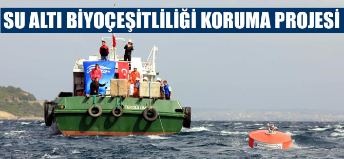 Çanakkale Boğazı'nda "Su Altı Biyoçeşitliliği Koruma Projesi"