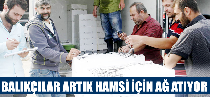 Palamutta umduğunu bulamayan balıkçı  hamsiye yöneldi