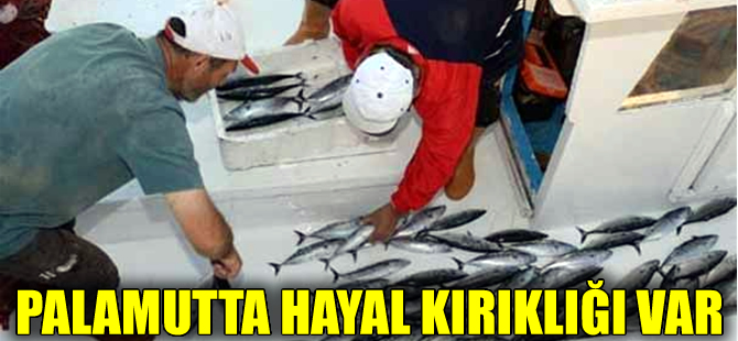 Palamut severlere kötü haber: Tanesi 20 liraya çıktı