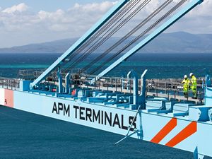 İşsizlere müjde! APM Terminals eleman arıyor