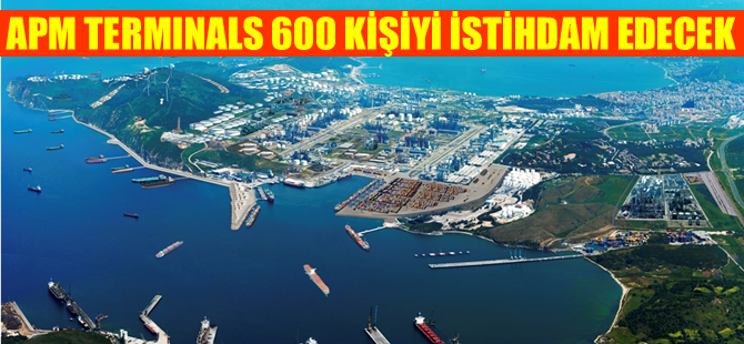 İşsizlere müjde! APM Terminals eleman arıyor