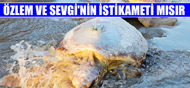 Sevgi ve Özlem Akdeniz'de  bin km yol katetti