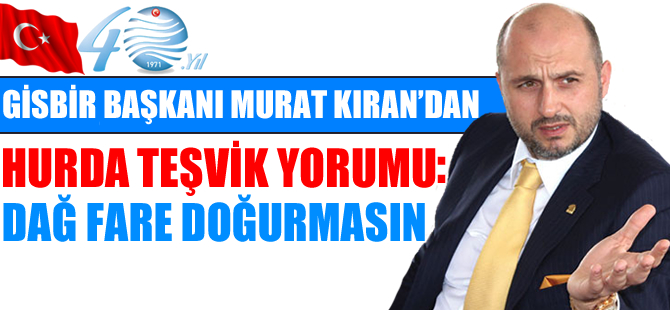 GİSBİR Başkanı Murat Kıran: Dağın fare doğurmasının önüne geçilmelidir