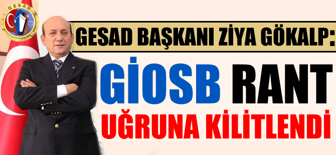 GESAD Başkanı Ziya Gökalp: GİOSB rant uğruna kilitlendi