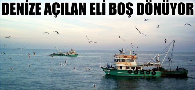 Balıkçılar umutla açıldılar, umduklarını bulamadılar