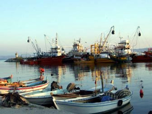 Armutlu Balıkçı Barınağı için ihale hazırlığı