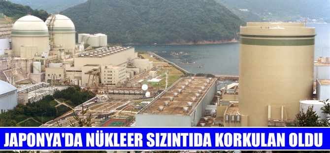 Fukuşima'da nükleer sızıntıda korkulan oldu