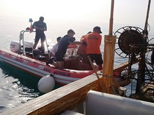 İskenderun'da kaçak avcılık yapanlara ceza yağdı