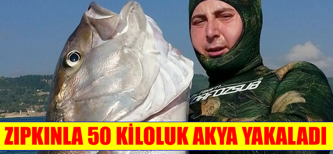 Çanakkale'de zıpkınla avlanan balıkçı 50 kiloluk Akya balığı yakaladı