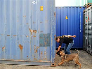 Ambarlı Limanı'nda 13 milyon lira olan kaçak sigara ele geçirildi