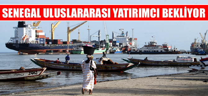 Senegal'de "Kültür Balıkçılığına" devlet desteği