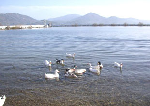 Eğirdir Gölünde 3 yıl balık avı yasaklandı