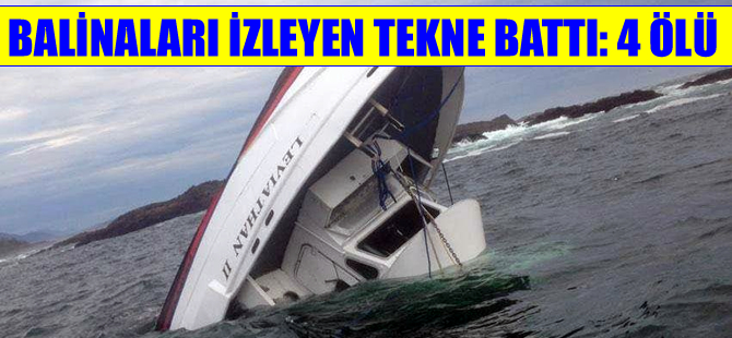 Kanada'da balinaları izlemek için tura çıkan tekne battı: 4 ölü