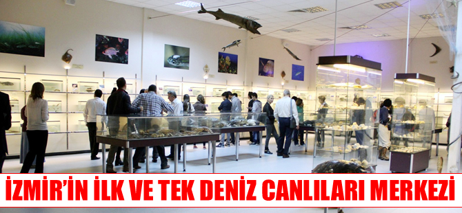 Deniz Canlıları Kolleksiyon Merkezi İzmir'de açıldı