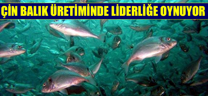 Çin su ürünleri üretimini 20 yılda üç katına çıkardı