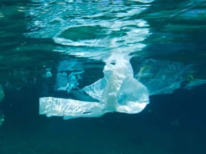 Deniz ve okyanuslarda yüz binlerce ton plastik yığını yüzüyor