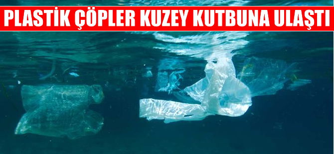 Deniz ve okyanuslarda yüz binlerce ton plastik yığını yüzüyor