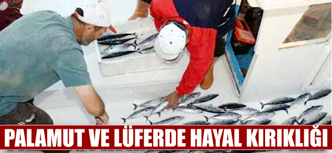 Marmara Denizi'nde palamut ve lüfer de hayal kırıklığı