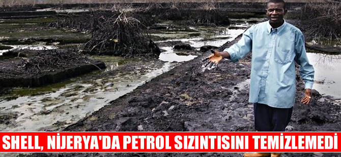 'Shell Nijerya'da petrol sızıntısını örtbas etti'