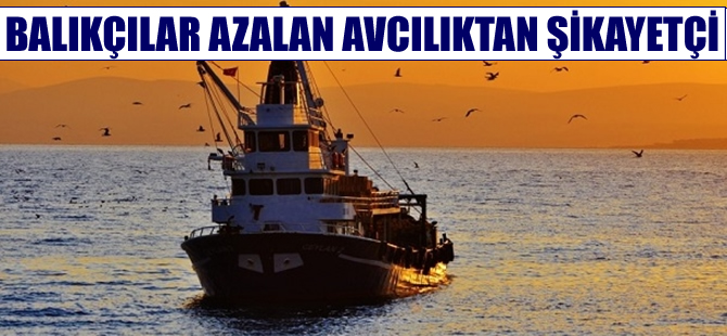 Balık popülasyonu, balıkçıları tedirgin ediyor