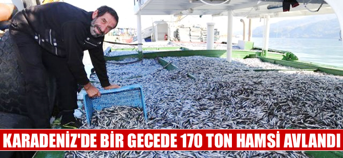 Karadeniz'de  bir gecede tam 170 ton hamsi avlandı