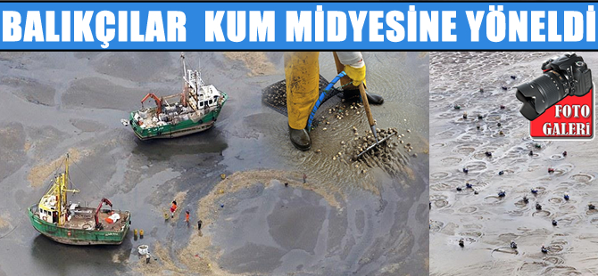 Balıkçılar balık yerine kum midyesine yöneldi, denizin altını üstüne getirdi