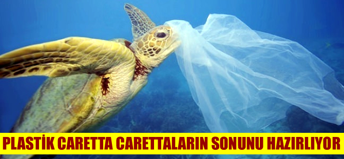 Plastik, deniz kaplumbağalarının soyunu tüketiyor