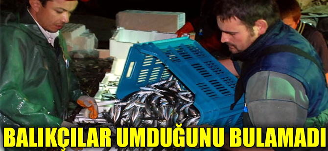 Tekirdağlı balıkçılar 3 sezondur istavrite hasret kaldı