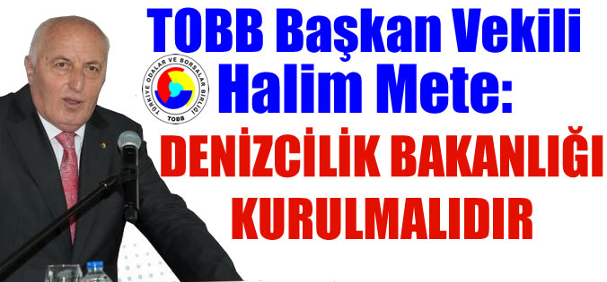 Halim Mete: Denizcilik Bakanlığı kurulmalıdır