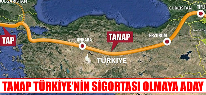 TANAP yüzde 25 daha ucuz inşa edilecek