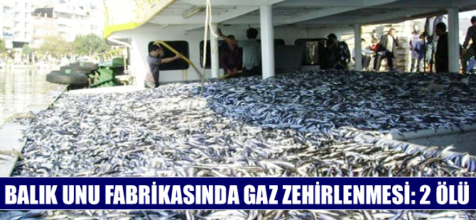 Balık unu fabrikasında gazdan zehirlenen iki işçi öldü